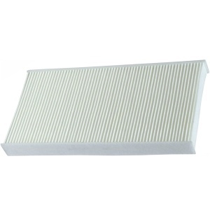 TR554-CF | Cabin Air Filter, for International Prostar,Workstar 7400,Durastar 4400,  P628355